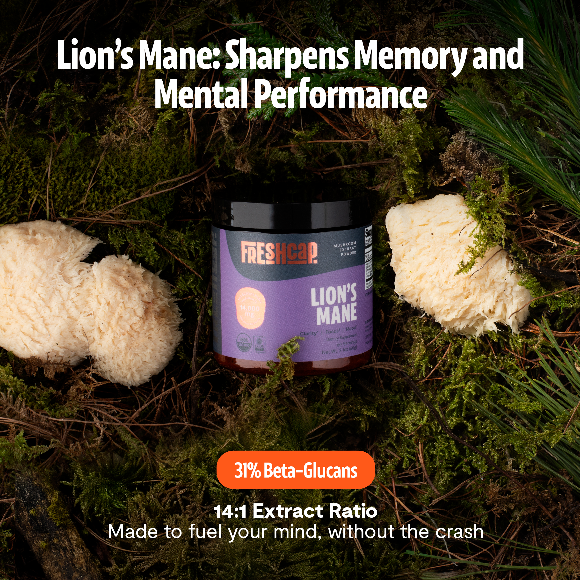 Organic Mushroom Complex Supplement Capsules
